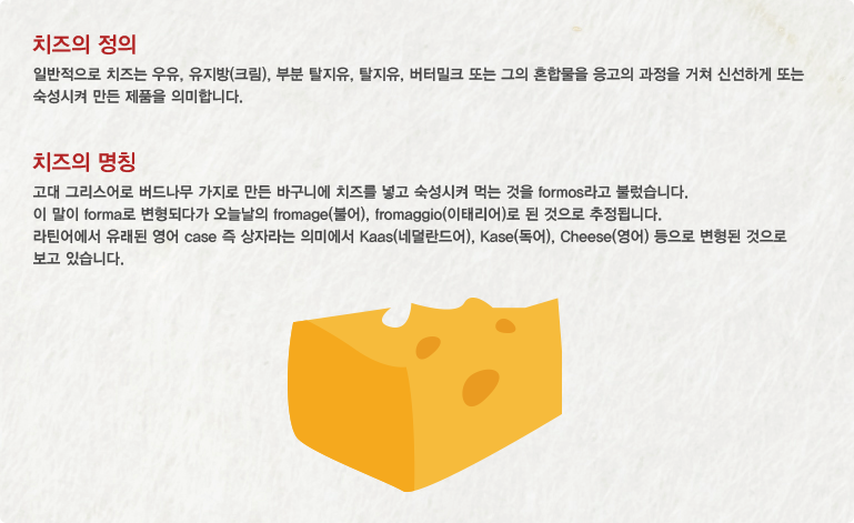 [치즈의 기원 ]우유+ 유산균+효소+유청=치즈